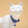 Fly collar "fish" luminous, with a bell, 30 x 1 cm, polyester, blue