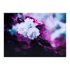 Picture on canvas 