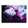 Picture on canvas "White flowers in pink colors" 50*70 cm