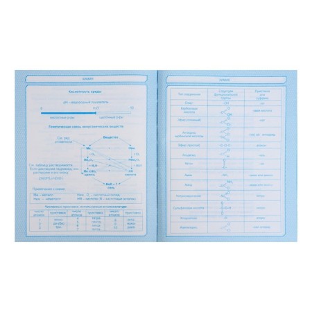 Diary for grades 5-11, "owl", solid cover 7BC, glossy lamination, 48 sheets-14