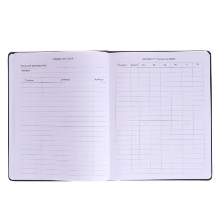 Universal diary for grades 1-11 WoW, hard cover, artificial leather, foil embossing, lies, 80 g/m2-5