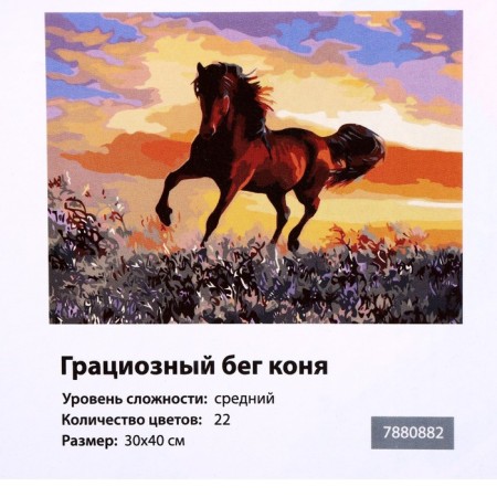 Picture on numbers on canvas with a subframe "Graceful run of a horse", 40 x 30 cm-5