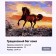 Picture on numbers on canvas with a subframe "Graceful run of a horse", 40 x 30 cm