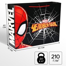 Gift package, 50x40x15 cm, packaging, spider-man