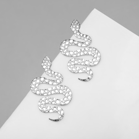 Earrings Metal "Snake" large, silver color