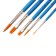 System of Synthetics 5pcs Rules "Classic Color", (Round No. 1, 3, 5; PL No. 6, 8)