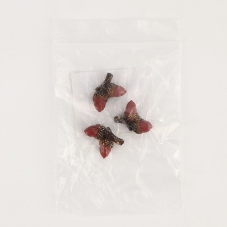 Miniature Puppet "acorns", set of 3 pcs., Size 1 pc. - 1.5 × 2 × 1 cm-5