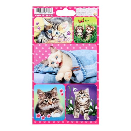 Cat stickers 11 x 17 cm, mix-1