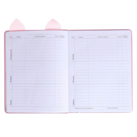 Universal diary for grade 1-11 Cat’s Eyes, hard cover, artificial leather, foam rubber, liesse, 80 g/m2-6