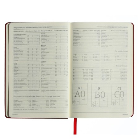 Diary of Leduced A5, 160 sheets MEGAPOLIS VELVET, solid cover, artificial leather, lies, on an elastic band, tinted block 70 g/m2, red-9