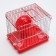 A cell for rodents equipped RT-2Q, 22 x 16 x 20 cm, red (packing 30 pcs)