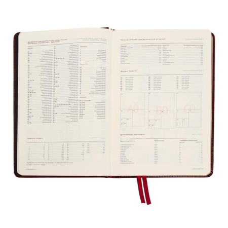 Diary Leduced A5+, 176 Parliament sheets, solid artificial leather cover, green-7