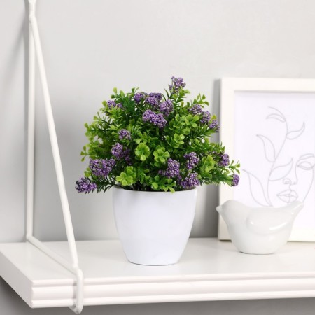 Bonsai in the pot "Ozotamnus in the foliage" 8x16 cm, mix