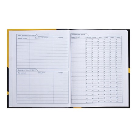 Universal diary for grades 1-11 Antidepressant, solid cover, glossy lamination, 40 sheets-5