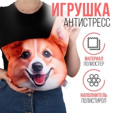 Antistress Pillow 