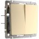 Two-clavy passage circuit wl11-SW-2G-2W, champagne color