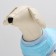 Sweatshirt for animals "Chamomile", Velsoft, Size S, Blue (DS 25, Osh 22, OG 34 cm)