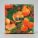 Box for cupcakes folding with bilateral application of "Orange", 16 x 16 x 10 cm, New Year