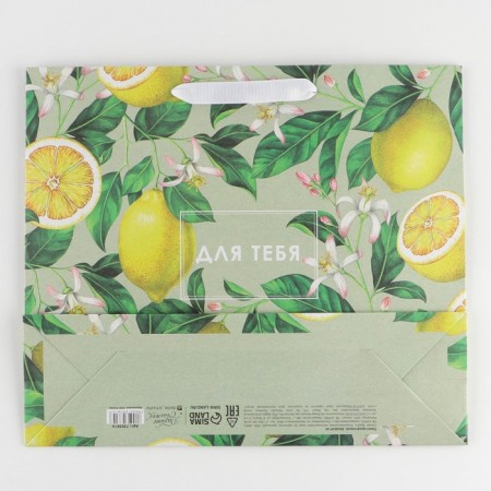 Package Gift Craft horizontal, packaging, “lemons”, m 30 x 26 x 9 cm-3