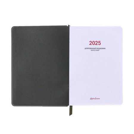 Dated diary of 2025, A6+, 176 sheets "Lyon", solid cover, pancake embossing, with liesa, block 80 g/m2, green-3