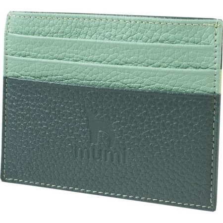 Cartholder, green color