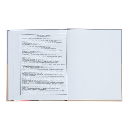 Diary for the Musical Trio music school, 48 sheets, hard cover, matte lamination, selective varnish, offset block-11