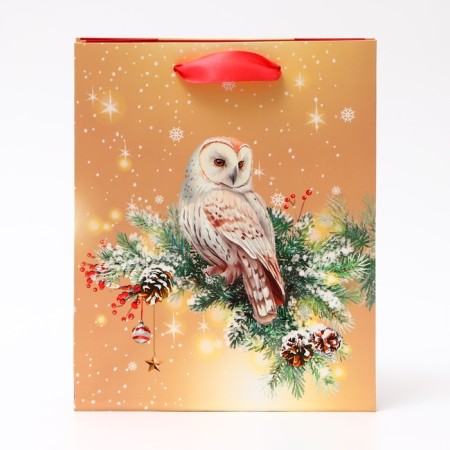 Gift package "Owl", 18 x 22.3 x 10 cm-1