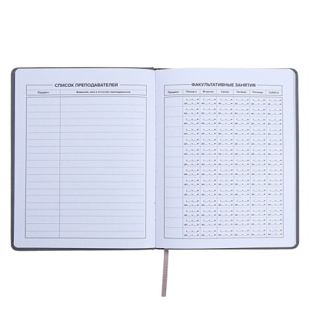 Universal Grade 1-11 Diary, 48 JIUCY sheets, firm artificial leather cover, foil embossing, pancake embossing, rhinestones, liesse-7