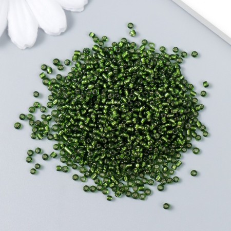 Beads "Astra" 11/0, 20 g (55a green/transparent with silver. Center (round))-1