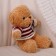 Soft toy "Bear" in a jacket, 28 cm, beige color