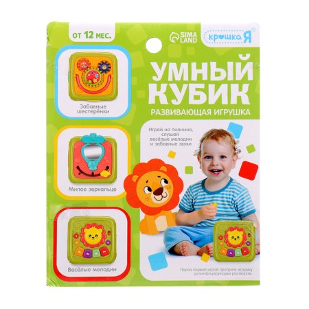 Developing toy "smart cube", 3 in 1: ionic, sorter, bisikub, sound-19