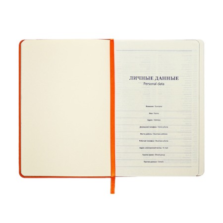 Leduced Diary A5, 140l, Cage, leatherette, elastic band, black cut, orange-6
