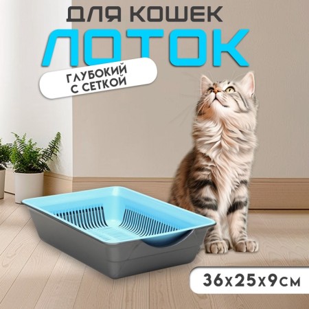 Deep toilet with a mesh of 36 x 25 x 9 cm, blue/gray