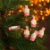 Set of decorative clothespins "Pieses" set of 6 pcs.