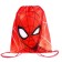 A set of first grader in the folder, spider-man, 40 items