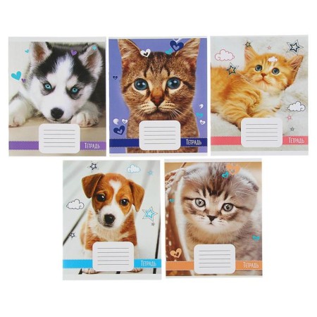 Notebook of 18 sheets in Calligrata "Pets", covered Cardboard, OFSET BOLK, 95%White, MIX