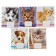 Notebook of 18 sheets in Calligrata "Pets", covered Cardboard, OFSET BOLK, 95%White, MIX
