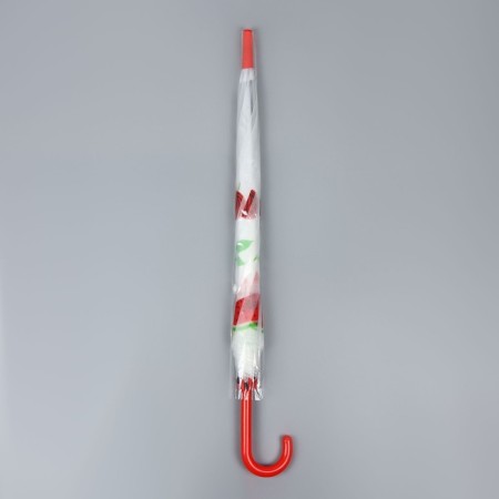 Umbrella - a semiautomatic “fruits” cane, 8 knitting needles, r = 45 cm, mix drawing-14