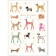 Turnowsky postcard "Dogs", 16.7x11.8 cm