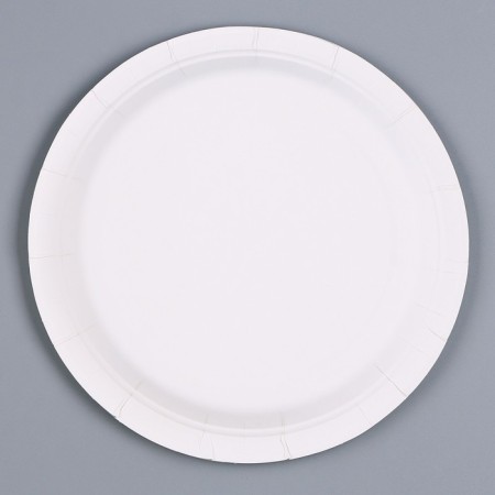 Paper plate "Dino", in a set of 6 pcs.-2