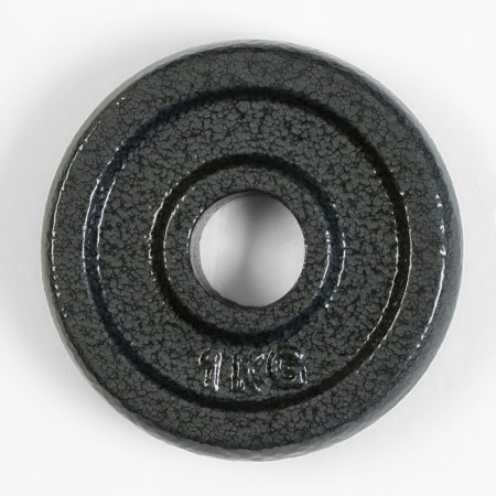 Диск 1 кг, d=29 мм-1