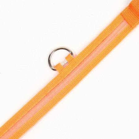 Collar with backlight size XL, Osh 52-60 x 2.5 cm, 3 glow modes Orange-8
