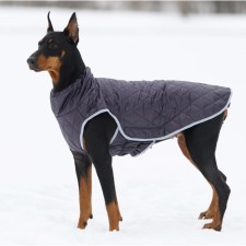Winter vest on a zipper for dogs 