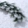 Decor "Branch of thick spruce"