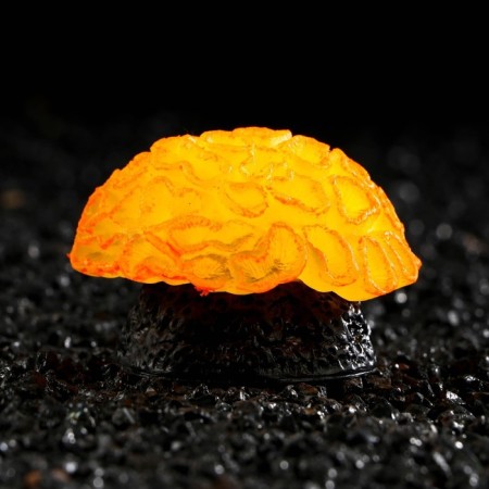 Decor for the Aquarium Coral Faviidae, 5 x 2.5 cm, silicone, orange