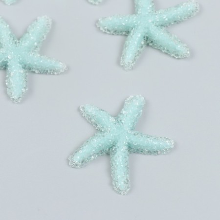 Decor for creativity plastic "Mint Sea Star" Sugar 3,8x0.5x3.8 cm