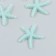 Decor for creativity plastic "Mint Sea Star" Sugar 3,8x0.5x3.8 cm