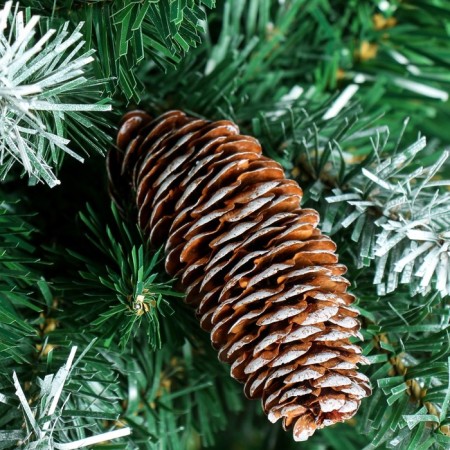 Fir tree "chic hook" 270 cm D of the lower tier 135 cm 1946 branches-1
