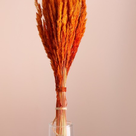 Set of dried flowers "Weinik", banch length 65 (+/- 6 cm), orange-1