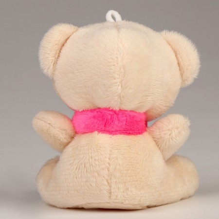 Soft toy in the bag "Bear"-4